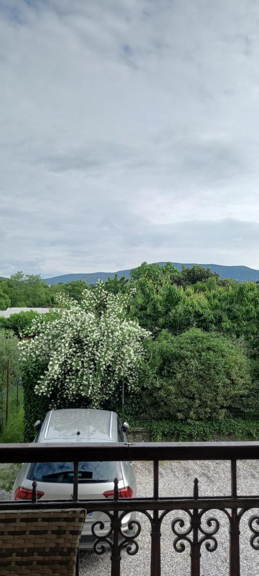 Appartamento Casa di Alice Gorizia Esterno foto